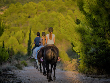 Home Box_Signature Experiences_Horseback riding